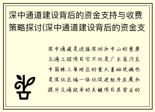 深中通道建设背后的资金支持与收费策略探讨(深中通道建设背后的资金支持与收费策略探讨论文)